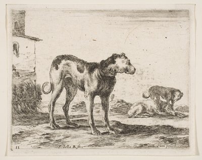 Tabliczka 11: psy, z różnych zwierząt Diversi animali, ca. 1641. autorstwa Stefano della Bella
