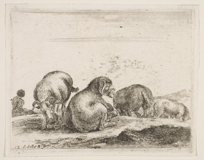 Tabliczka 12: owca i baran na pastwisku, z różnych zwierząt Diversi animali, ca. 1641. autorstwa Stefano della Bella