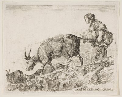 Tabliczka 14: kozy pasterskie z różnych zwierząt Diversi animali, ca. 1641. autorstwa Stefano della Bella