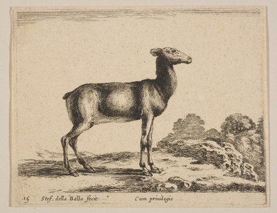 Płyta 15: łania, z 