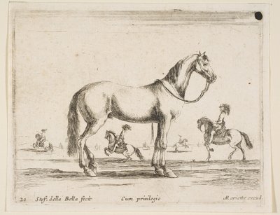 Tablica 21: koń, z różnych zwierząt Diversi animali, 1641. autorstwa Stefano della Bella