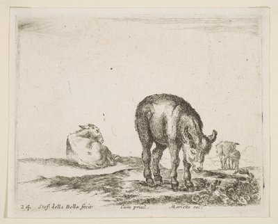 Talerz 24: osły, z różnych zwierząt Diversi animali, ca. 1641. autorstwa Stefano della Bella