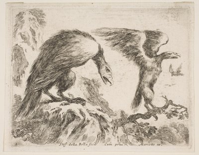 Zdjęcie 2: orzeł i orzeł, z różnych zwierząt Diversi animali, ca. 1641. autorstwa Stefano della Bella