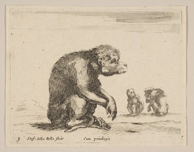 Tabliczka 3: siedząca małpa, z różnych zwierząt Diversi animali, ca. 1641. autorstwa Stefano della Bella