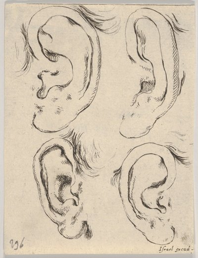 Tablica 5: cztery uszy, z Księgi do nauki rysowania Livre pour apprendre à dessi..., ca. 1649. autorstwa Stefano della Bella