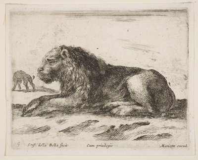 Tabliczka 5: leżący lew, z książki Różne zwierzęta Diversi animali, 1641. autorstwa Stefano della Bella