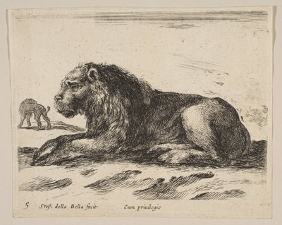 Tabliczka 5: leżący lew, z różnych zwierząt Diversi animali, ca. 1641. autorstwa Stefano della Bella