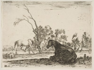 Tablica 8: koń siedzący po prawej stronie, widziany z tyłu i zwrócony w lewo, trzy inne konie..., 1642. autorstwa Stefano della Bella