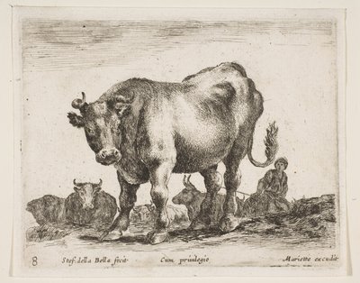 Tabliczka 8: krowa, z różnych zwierząt Diversi animali, ca. 1641. autorstwa Stefano della Bella