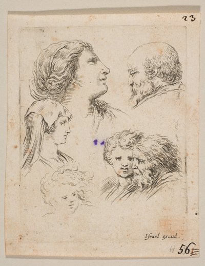 Ilustracja 9: pięć głów, dwie młode kobiety po lewej, brodaty mężczyzna po prawej, młoda kobieta, ca. 1649. autorstwa Stefano della Bella