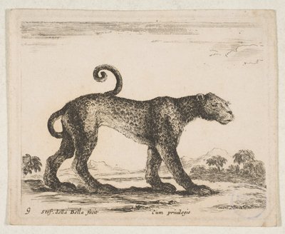 Tablica 9: lampart, z 