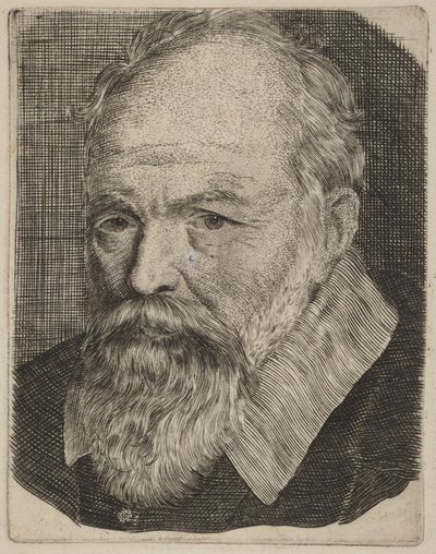 Portret mężczyzny autorstwa Stefano della Bella