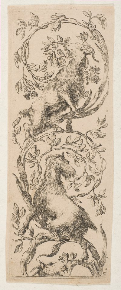 Dwie kozy gryzące gałązki, ca. 1653. autorstwa Stefano della Bella