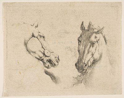 Dwie głowy konia, ca. 1649. autorstwa Stefano della Bella