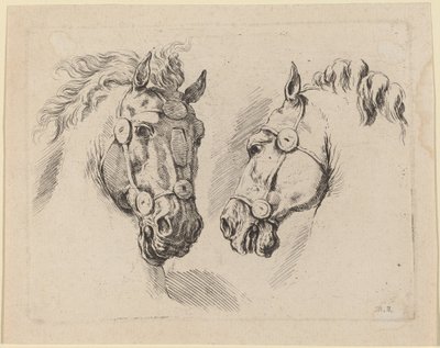 Dwie głowy konia, prawdopodobnie 1649. autorstwa Stefano della Bella