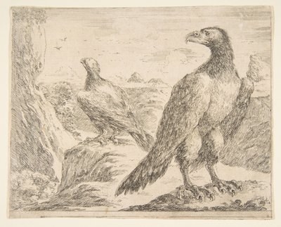 Dwa orły, z Eagles Les aigles, ca. 1651. autorstwa Stefano della Bella