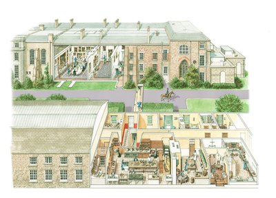 Petworth House, ok. 1890-1914 (tusz i akwarela na papierze) autorstwa Stephen Conlin