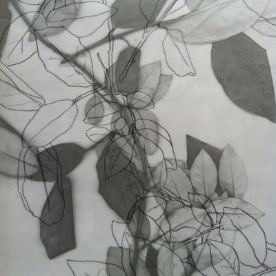 Botanical, 2014 (cyfrowy) autorstwa Stephen Dow
