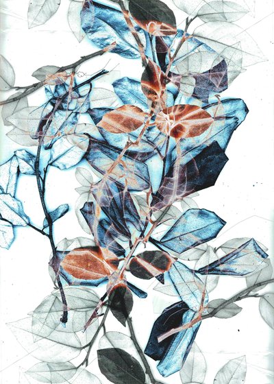 Freyr X, 2018 (w wersji cyfrowej) autorstwa Stephen Dow
