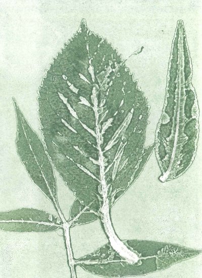 Gone IX, 2015 (monoprint na papierze) autorstwa Stephen Dow