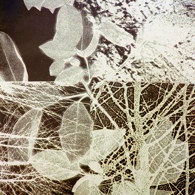 Night Forest, 2018 (w wersji cyfrowej) autorstwa Stephen Dow