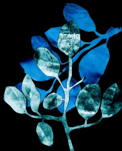 Nocturnal Garden, 2017 (cyfrowy, z kolagrafu) autorstwa Stephen Dow