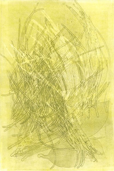 Letni ogród V, 2015 (monoprint na papierze) autorstwa Stephen Dow
