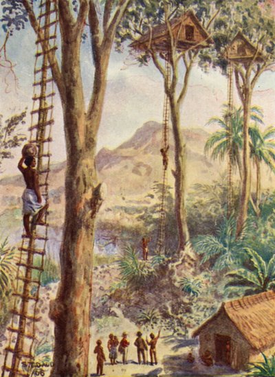 Ilustracja przedstawiająca życie biskupa Pattesona (kolorowa litografia) autorstwa Stephen T. Dadd