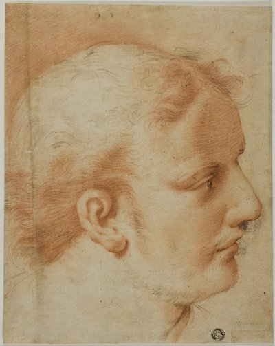 Głowa młodego mężczyzny z profilu w prawo autorstwa Style of Benedetto Luti