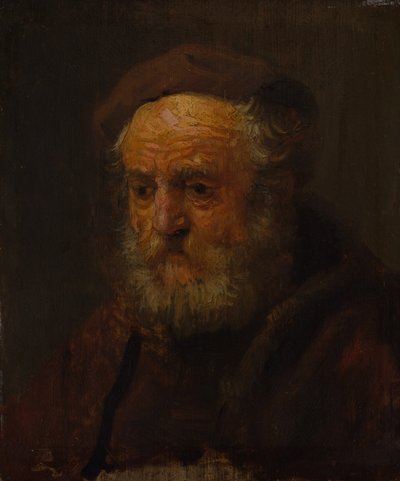 Głowa badania starego człowieka. autorstwa Style of Rembrandt