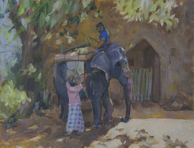 Słoń, Sri Lanka, 2015, autorstwa Sue Wales