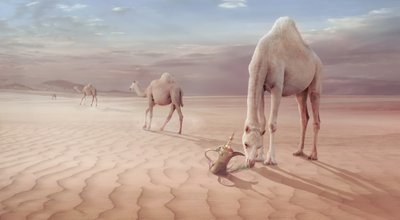  autorstwa Sulaiman Almawash