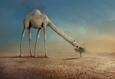  autorstwa Sulaiman Almawash