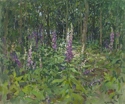 Naparstnice autorstwa Susan Ryder