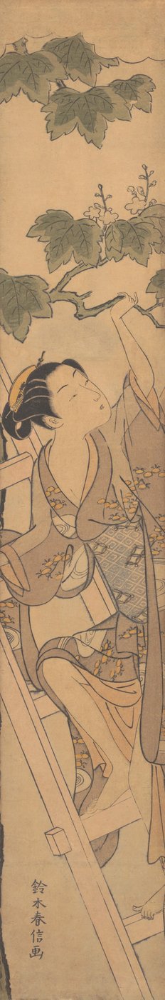 Młoda kobieta wspinająca się po drabinie, ca. 1768 r., ok. 1768 r. 1768. autorstwa Suzuki Harunobu