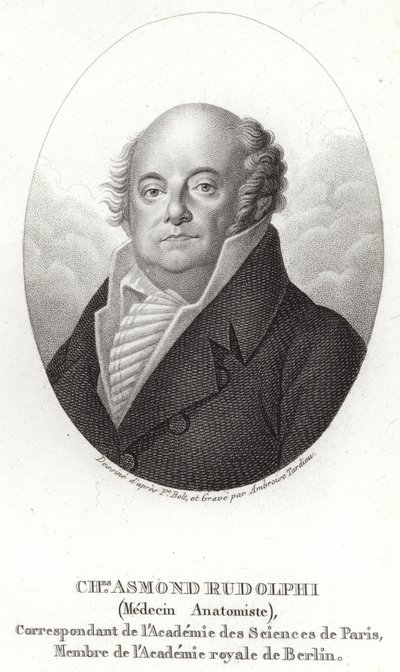 Karl Asmund Rudolphi autorstwa Swedish School