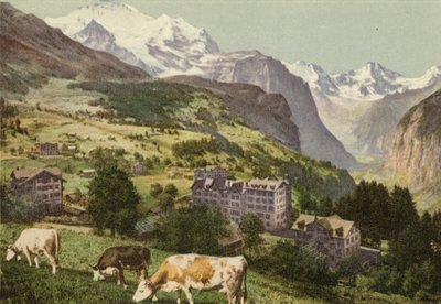 Oberland Berneński: Wengen (kolorowe zdjęcie) autorstwa Swiss Photographer