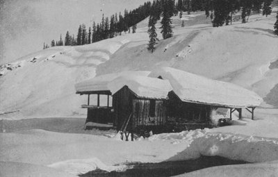 Tartak koło Davos (zdjęcie czarno-białe) autorstwa Swiss Photographer