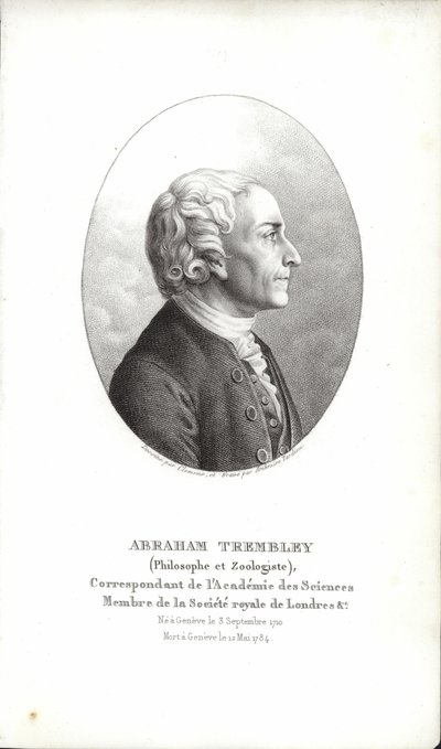 Abraham Trembley autorstwa Swiss School