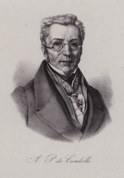 Augustin Pyramus z Kuby, szwajcarski botanik (grafika) autorstwa Swiss School