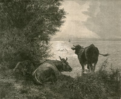 Wczesny poranek nad Jeziorem Zuryskim autorstwa Swiss School