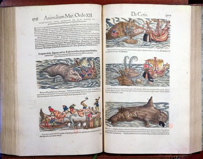 Łączenie wieloryba i wieloryba, z dodatku historiae quadrupedum, viviparorum et ovipororum autorstwa Conrada Gesnera (1516-65) szwajcarskiego przyrodnika, 1554 (kolorystyka) autorstwa Swiss School