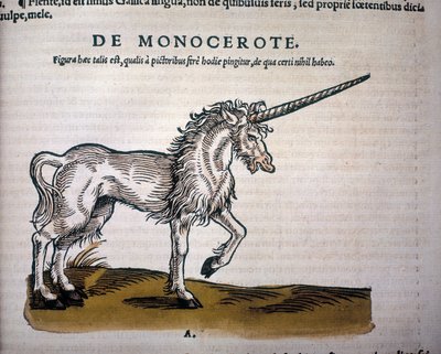 Jednorożec, ilustracja z „Historii zwierząt” Conrada Gesnera autorstwa Swiss School
