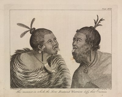 L.R.294.c.7, płyta XVII nowozelandzcy wojownicy autorstwa Sydney (after) Parkinson
