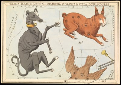 Canis Major. Lepus, Columba Noachi  Cela Sculptoris, ok. 1825 (karta, papier, bibułka) autorstwa Sydney Hall