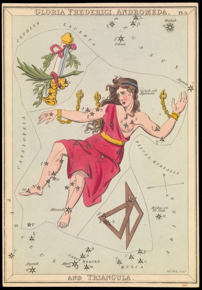 Gloria Frederich, Andromeda i Triangula, ok. 1825 (karta, papier, bibułka) autorstwa Sydney Hall
