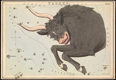 Taurus, ok. 1825 (karta, papier, bibułka) autorstwa Sydney Hall