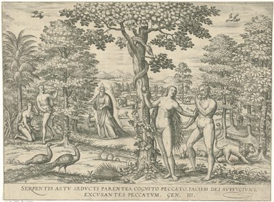 Zondeval Ryciny i obrazy książek (tytuł serii) autorstwa Symon Novelanus (attributed to)
