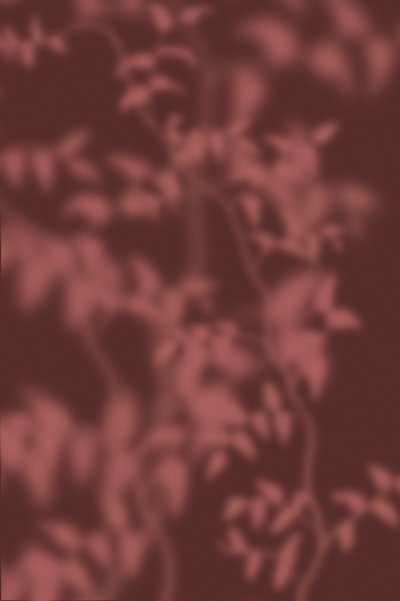  autorstwa THE MIUUS STUDIO