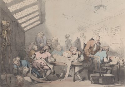 Prosektorium, ok. godz. 1838. autorstwa T. C. Wilson